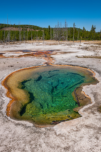 Wonderful Blue Lake and Yellowstone, Wyoming, USA,Nikon D3x