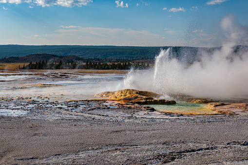Yellowstone Geyser erupts at Yellowstone National Park in the northwest corner of Wyoming, USA.Nikon D3x