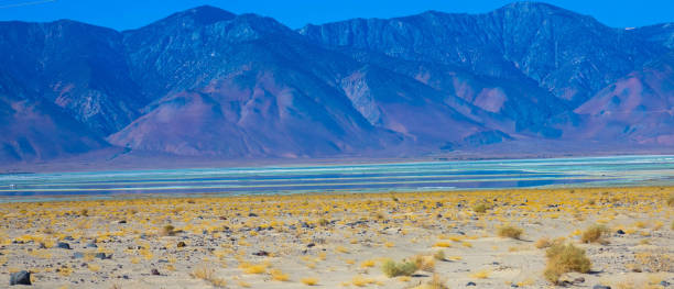 죽음의 계곡에 있는 소금바다와 배드워터 분지 - saltwater flats coastal feature landscape national park 뉴스 사진 이미지