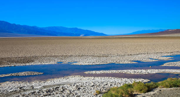 죽음의 계곡에 있는 소금바다와 배드워터 분지 - saltwater flats coastal feature landscape national park 뉴스 사진 이미지