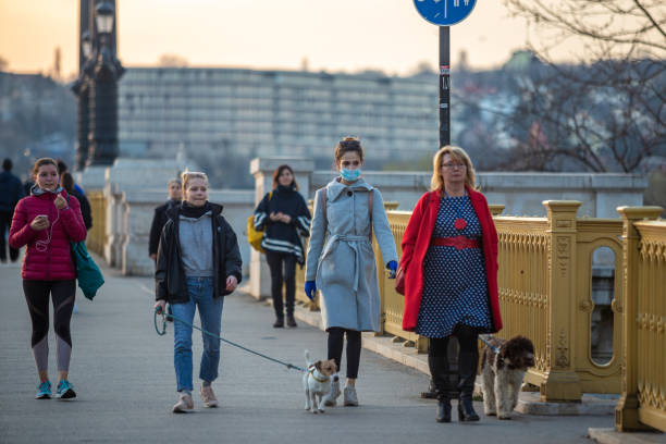 People of Budapest wearing face masks during walking on Margaret Bridge at sunset during the coronavirus disease stock photo