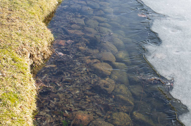 In spring the coastline with rocks on the bottom between the shore and the thawed ice