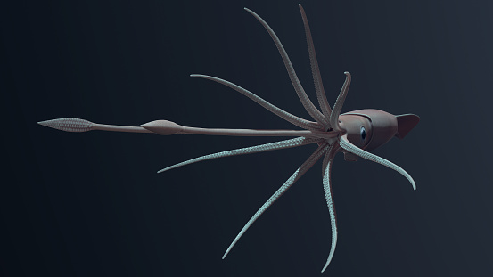 3D rendered Giant Squid