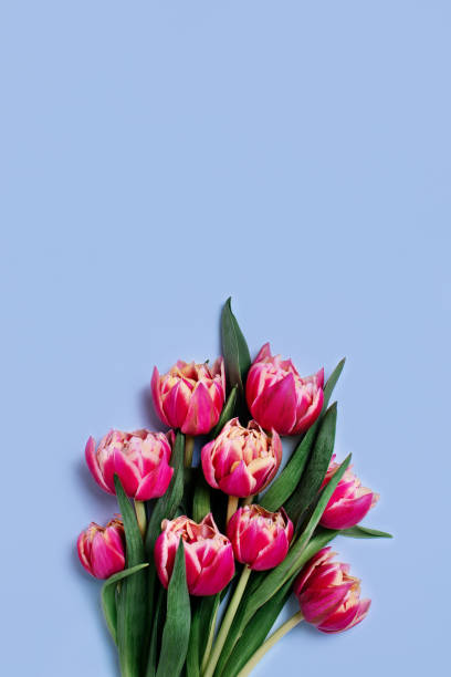 istock A festive vertical picture with flowers. 1213195286
