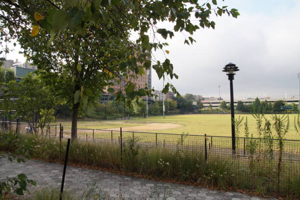Baseball field in Bronx, New York