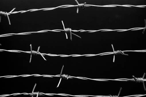Barbed wire, close-up, black background.