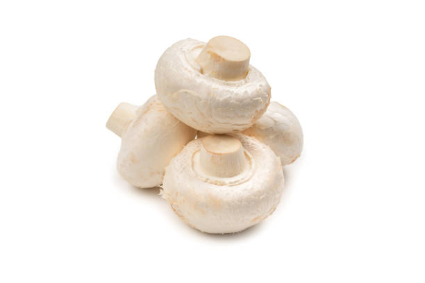 istock Champignon mushroom isolated on white background. 1213202528