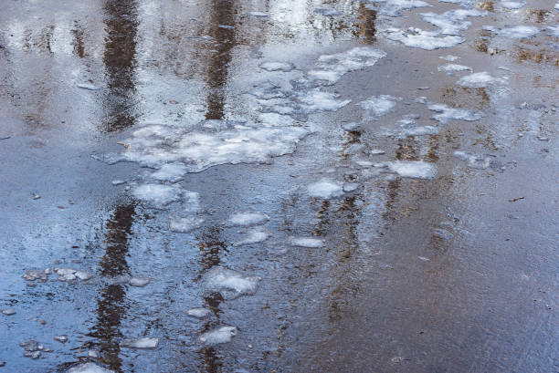 istock Trees reflection in the puddle on the spring asphalt road. 1213207042