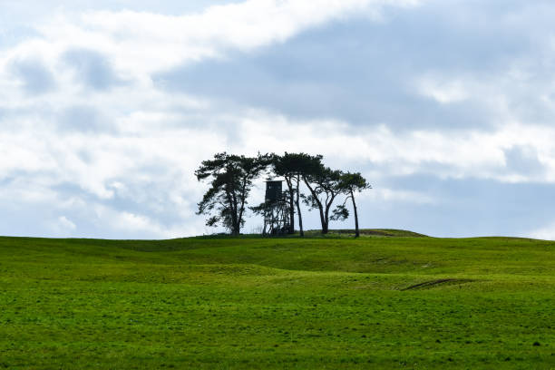 istock A hunter's high seat in the Eifel with trees 1213211291