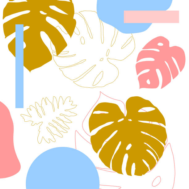 illustrazioni stock, clip art, cartoni animati e icone di tendenza di sfondo foglia tropicale - palm leaf frond leaf backgrounds