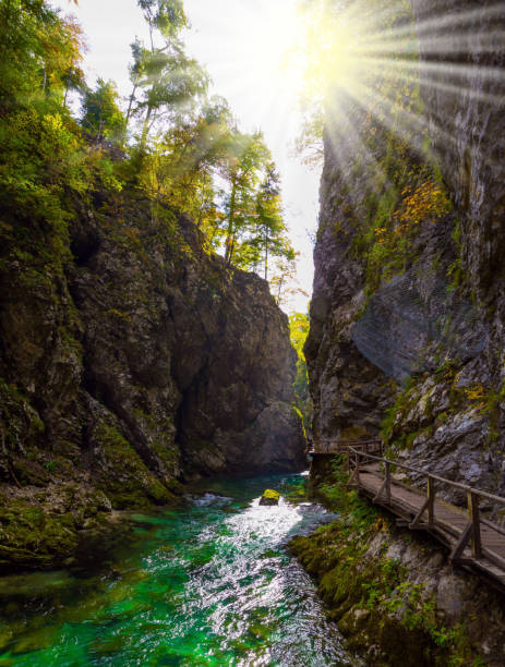 istock On the gorge laid wooden walkways 1213216207