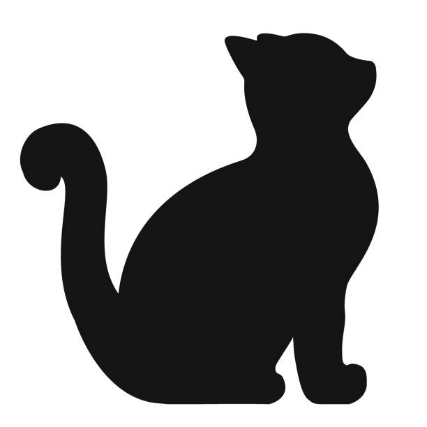 little cat vector art illustration
