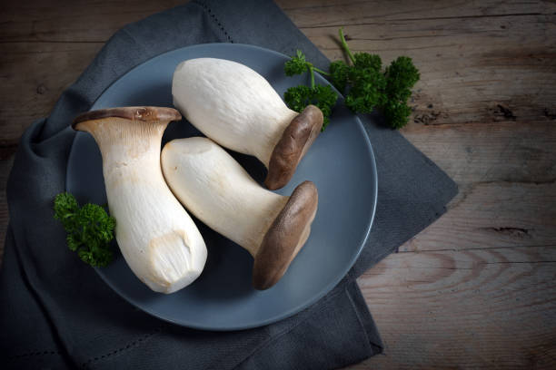 king oyster mushrooms, pleurotus eryngii, on a blue plate and a dark rustic wooden table, copy space, high angle view from above - oyster mushroom edible mushroom fungus vegetable imagens e fotografias de stock