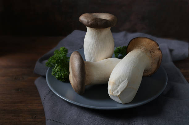 king oyster mushrooms, pleurotus eryngii, and parsley garnish on a blue plate and a dark rustic wooden table, copy space, selected focus - mushroom stem cap plate imagens e fotografias de stock