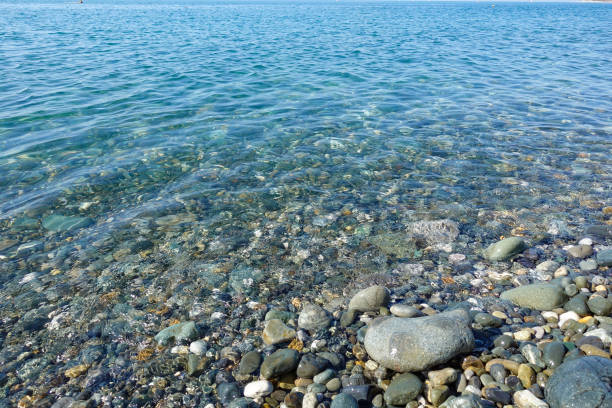 istock Pebble beach. Sea view. Sea shore with calm clear water 1213223859