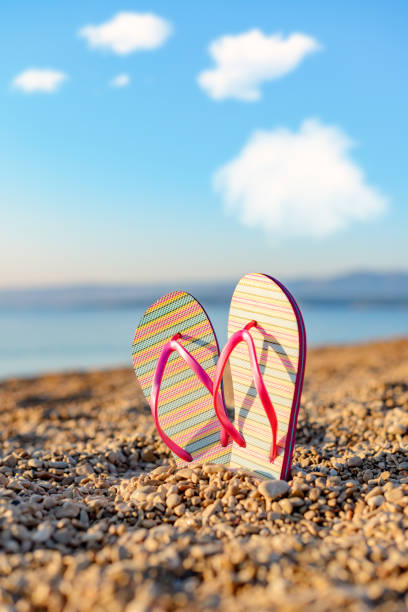 istock Flip flop at the seaside 1213224394