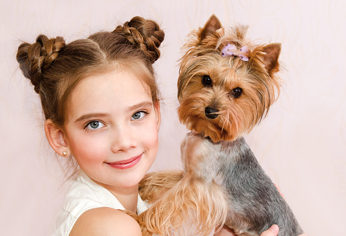 Portrait of brown Yorkshire Terrier and happy smiling woman holding him with hands indoors