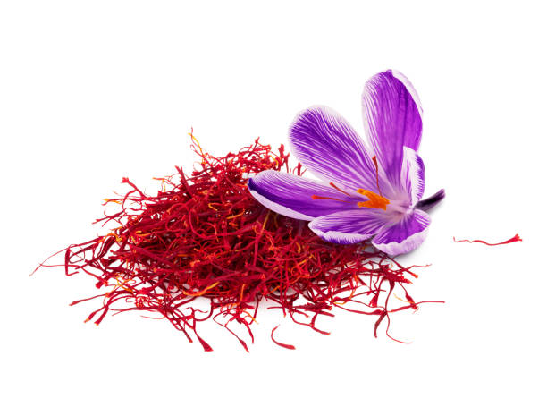 istock Saffron spice flowers isolated on white background 1213229362