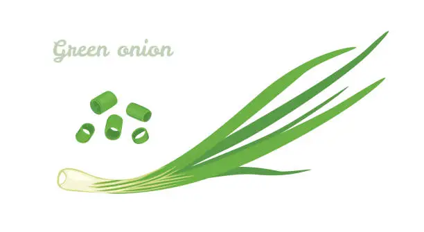 Vector illustration of Green spring onions isolated on white background. Vector Chopped chives. Illustration of fresh cut green onion. Icon in cartoon flat style.