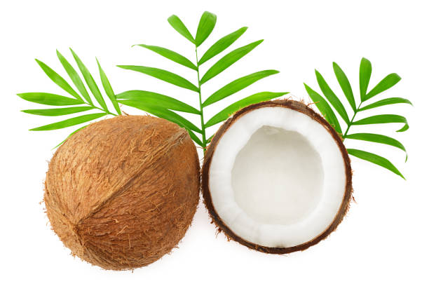 istock Coconut with green leaves isolated on white background. top view 1213232655