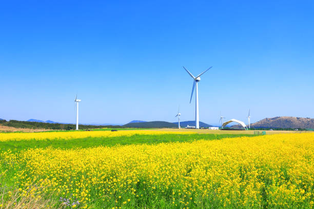 istock wind turbines, clean energy, generators, green, fields, fields, rural, 1213239463