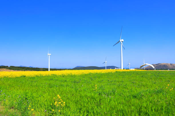 istock Wind turbines, clean energy, generators, energy, rape blossoms, spring 1213241140