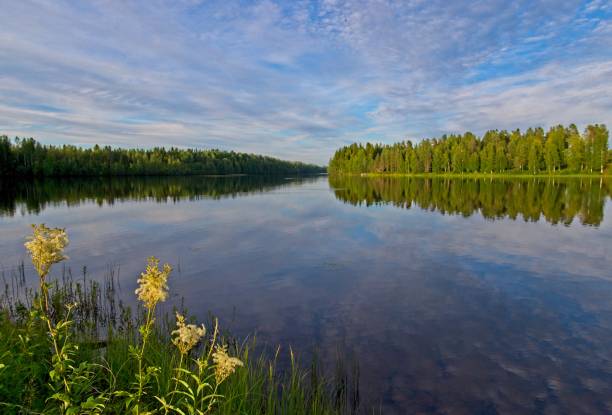 istock Beautiful early morning scenery at river 1213243682