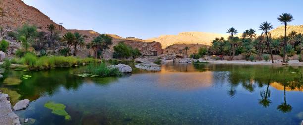 panorama de wadi bani khalid ao pôr do sol - travel adventure water oman - fotografias e filmes do acervo