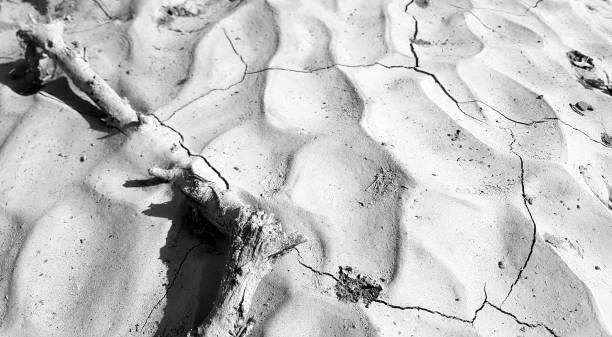 istock Black white picture of eroded desert ground 1213249799