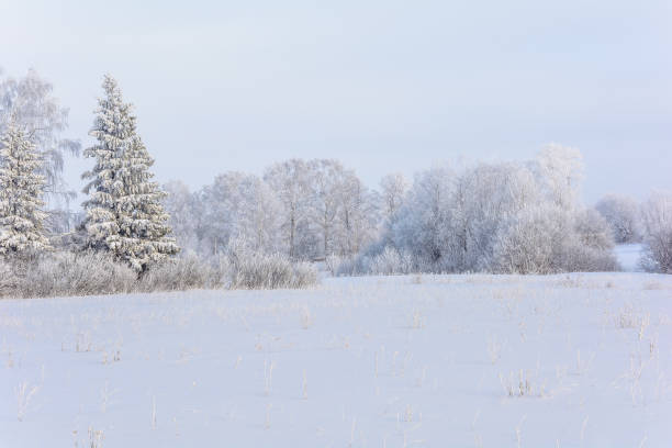 istock Beauty of nature in winter 1213250577