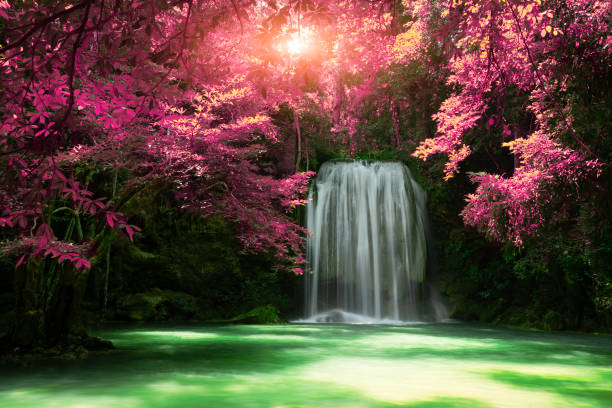 belle chute d’eau avec la lumière du soleil dans la forêt d’automne au parc national d’erawan, - erawan national park beauty in nature waterfall photos et images de collection