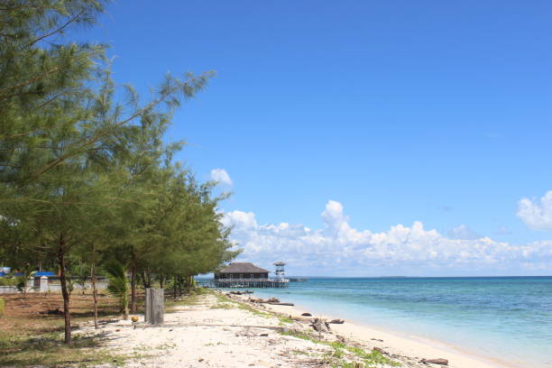 istock The Beauty of Derawan Island 1213257383