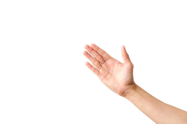 istock Empty Hand showing gesture holding the bottle, a hand holding something like a bottle or smartphone isolated on white background with clipping path. 1213262419