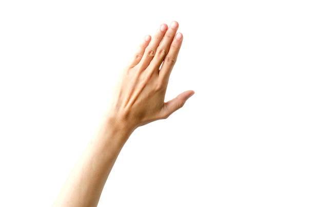 Empty Hand showing gesture holding the bottle, a hand holding something like a bottle or smartphone isolated on white background with clipping path.