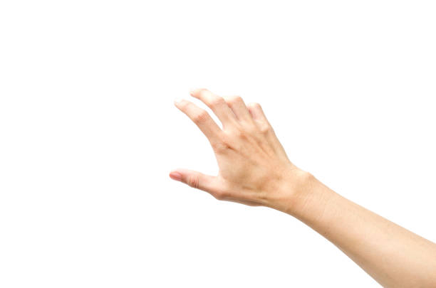 istock Empty Hand showing gesture holding the bottle, a hand holding something like a bottle or smartphone isolated on white background with clipping path. 1213262447
