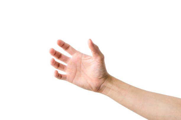istock Empty Hand showing gesture holding the bottle, a hand holding something like a bottle or smartphone isolated on white background with clipping path. 1213262488