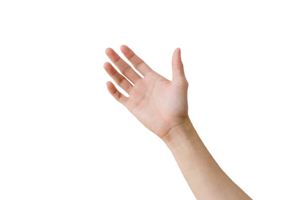 istock Empty Hand showing gesture holding the bottle, a hand holding something like a bottle or smartphone isolated on white background with clipping path. 1213262516