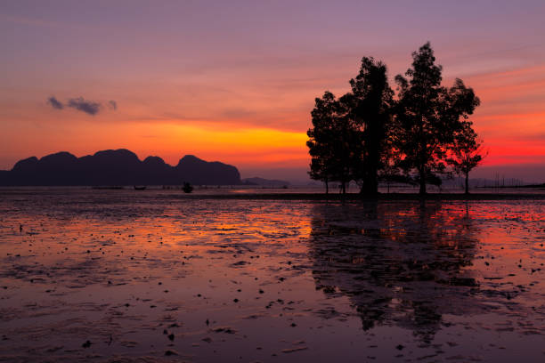 istock Landscape with the colorful sky in twilight time 1213266033