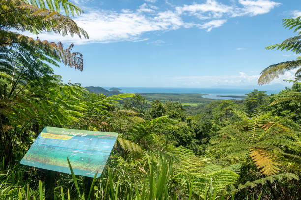 Danitree Rainforest, Queensland, Australia - February 9, 2020: The Walu Wugirriga Lookout also known as the Alexandra Lookout in Danitree Rainforest.