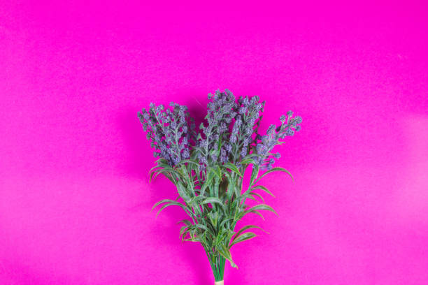 istock Beautiful spring flowers on a pastel color background 1213268810