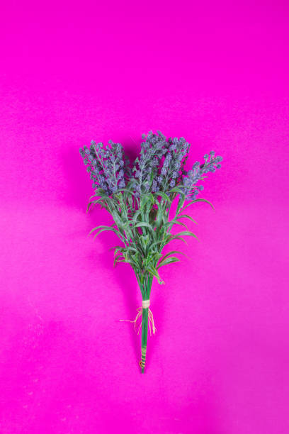 istock Beautiful spring flowers on a pastel color background 1213268879