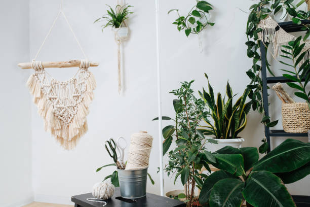 istock Studio with lots of plants in pots, decorated with macrame embroidery. 1213268922