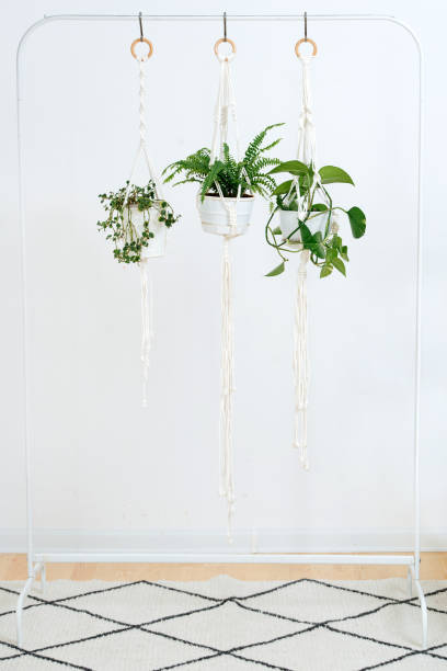 istock White frame on the stand and hanging on the ropes macrame with pots and flowers 1213269528