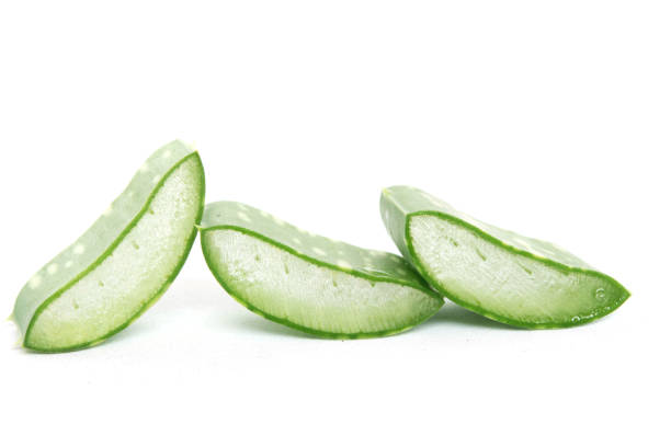 istock Aloe Vera benefits help heal wounds. 1213269850