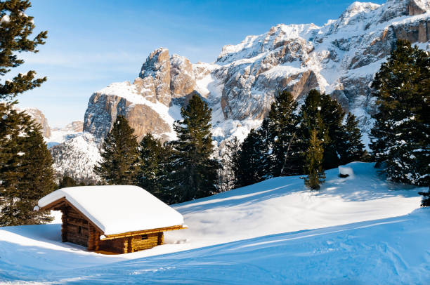 Winter landscape at Tschoegglberg range near Verano, South Tyrol, Italy