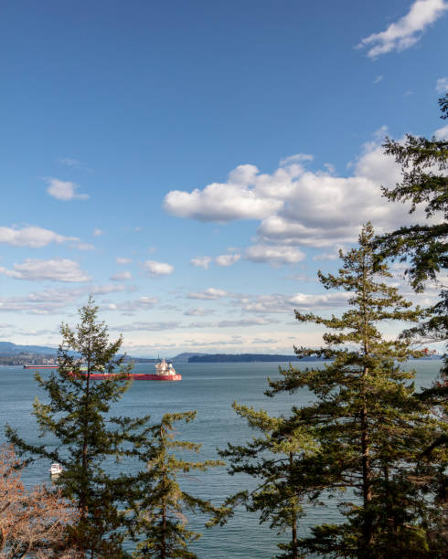 istock Vancouver Harbour in late afternoon 1213275995