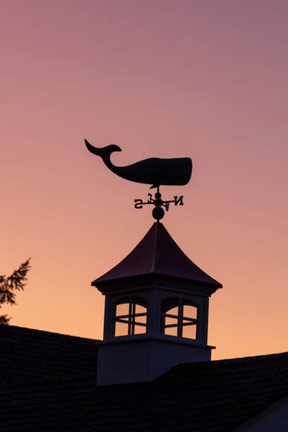 Whale Weathervane Pacific Northwest home on the Puget Sound with whale themed weathervane at sunset south puget sound stock pictures, royalty-free photos & images