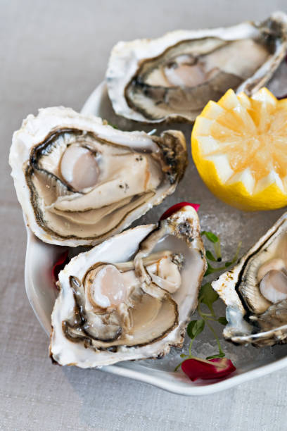 istock OYSTERS WITH LEMON AND CHOPPED ICE 1213280375