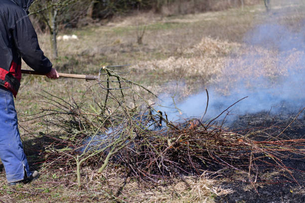 istock Burning dry grass and leaves after winter in spring village 1213282882