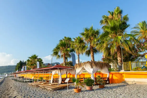 Beach with sun loungers and palm trees in Kemer, Turkey